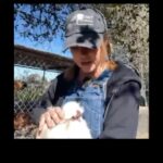 Kim Rhodes Instagram - Have you heard the chart-topping pop hit “Spicy Chicken Nugget” by Kim Rhodes? Watch Kim’s full #Momentus wildlife adventure “Totes Ma Goats” now here: LINK IN BIO! PS: Help save the animals today, donate to @statsanctuary!