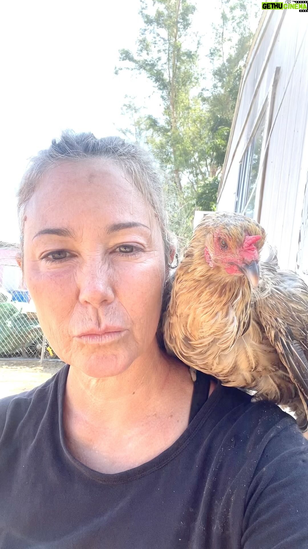 Kim Rhodes - 4.3K Likes - Some dinosaurs just want cuddles.
