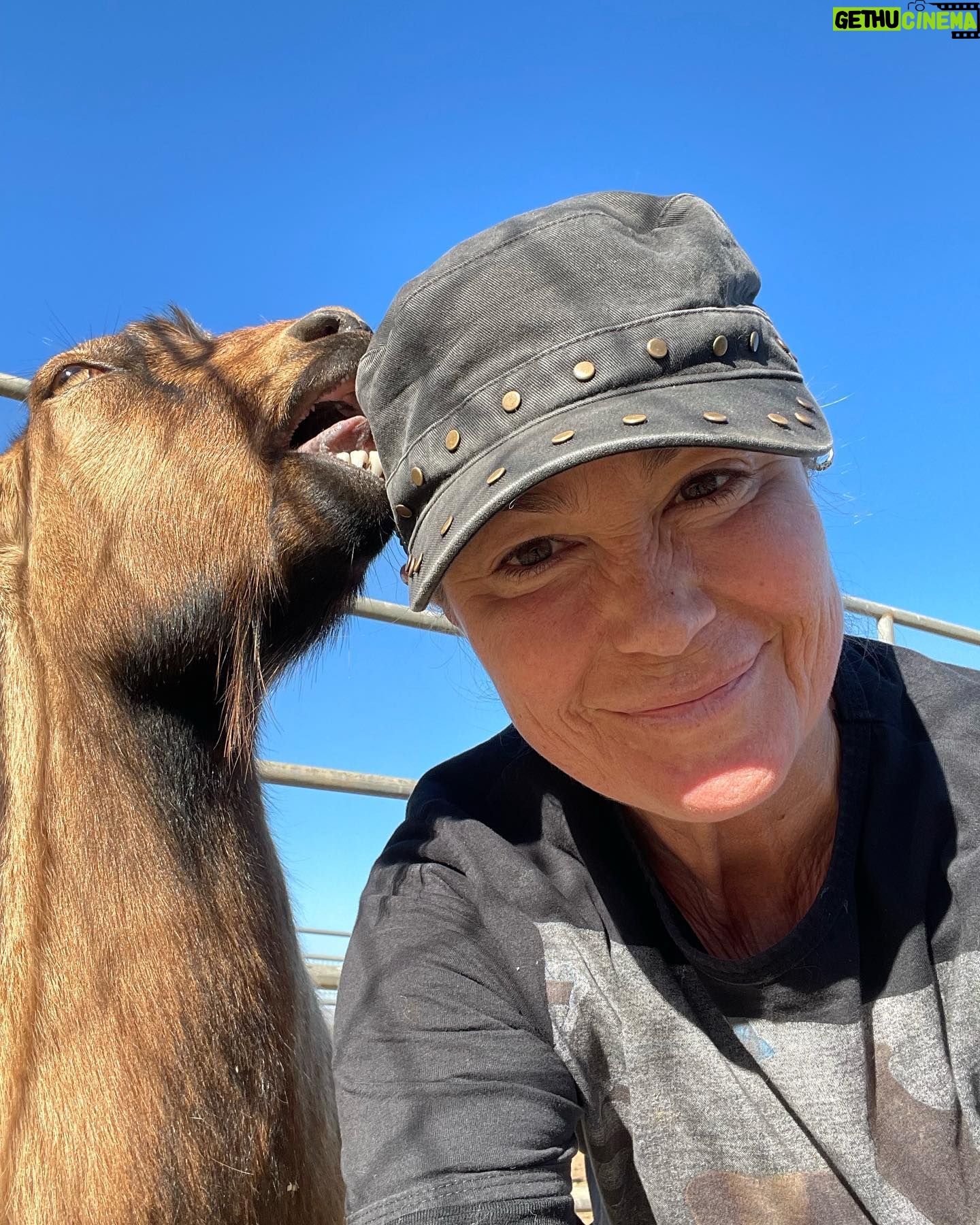 Kim Rhodes - 5.7K Likes - I HAVE A NEW (volunteer) JOB!!! A series from my first day.