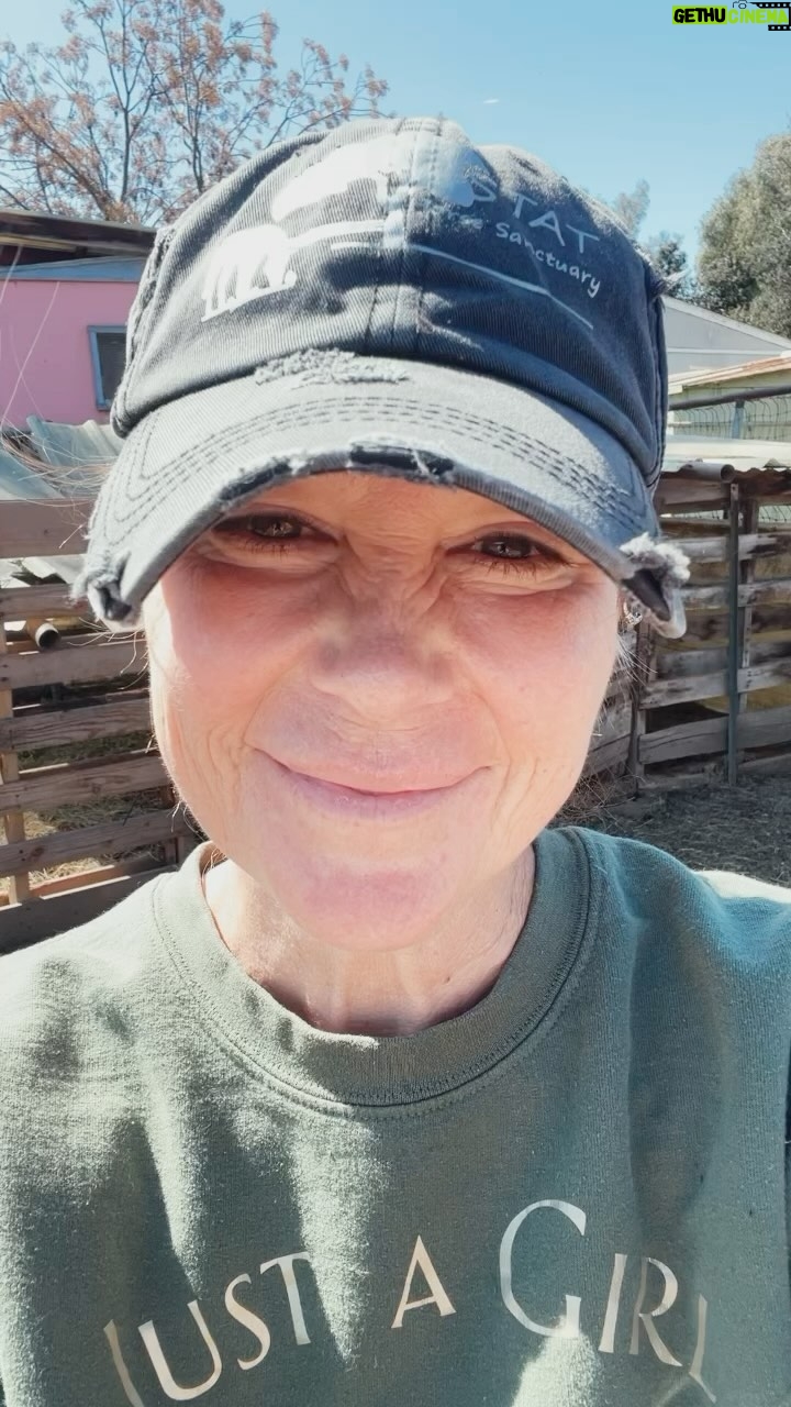 Kim Rhodes Instagram - Who am I kidding? I’ll take Muddy Mo Love any day. #rescuepig @stat.savetheanimalstoday