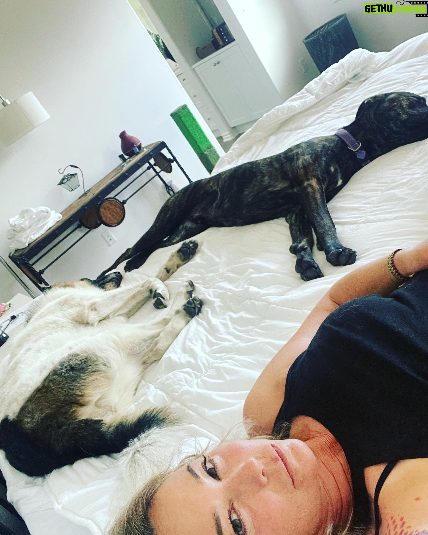Kim Rhodes - 4.4K Likes - “Oh, no. Mom’s not feeling well. Oh dear. Whatever shall we doooooooo?”