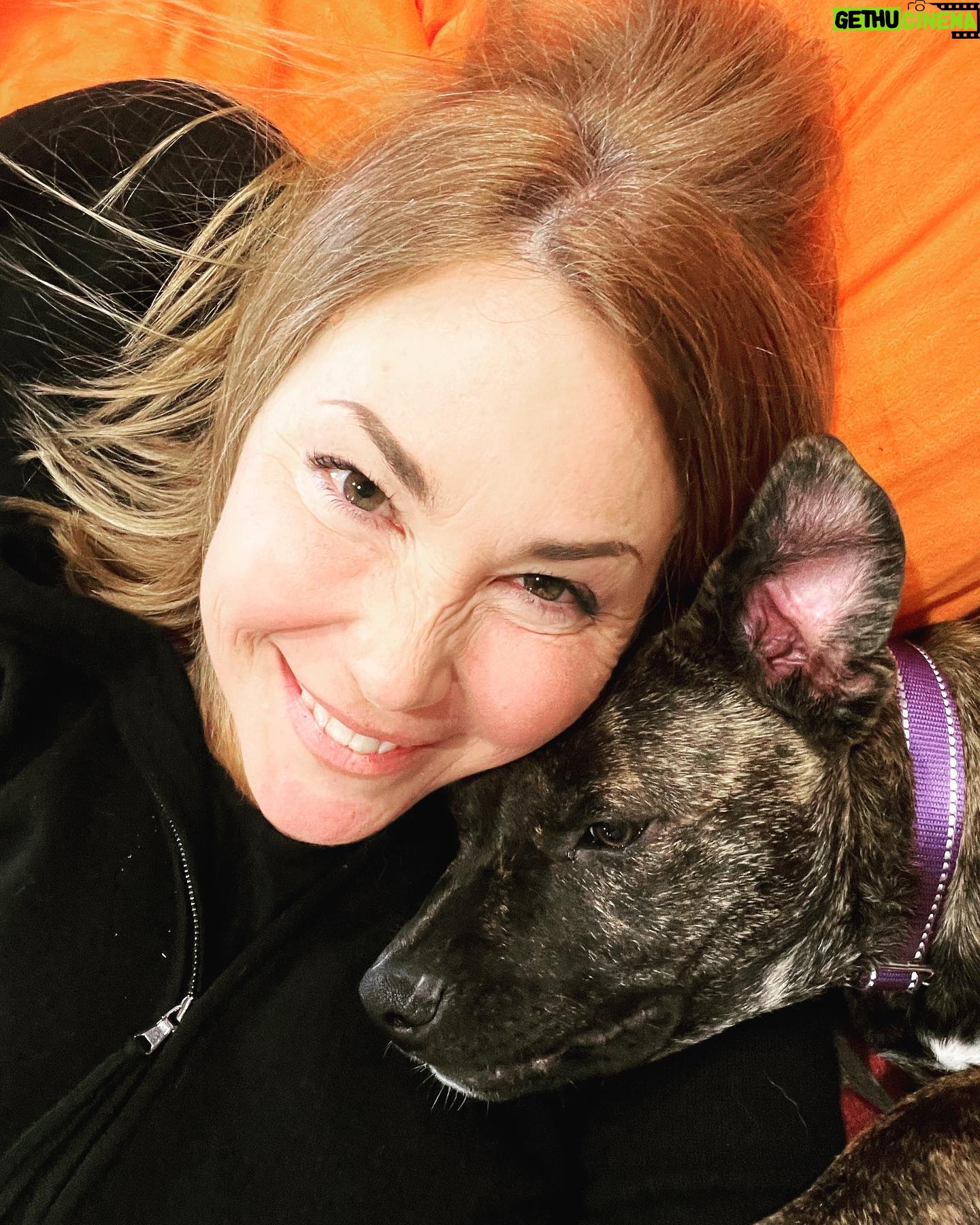 Kim Rhodes - 5.7K Likes - The Holidays came early for us! This is LaDoux “Dewey” D Dogg.
If you wanted to get me something and didn’t know what, a couple bucks to @piperspathrescue would certainly be appreciated…