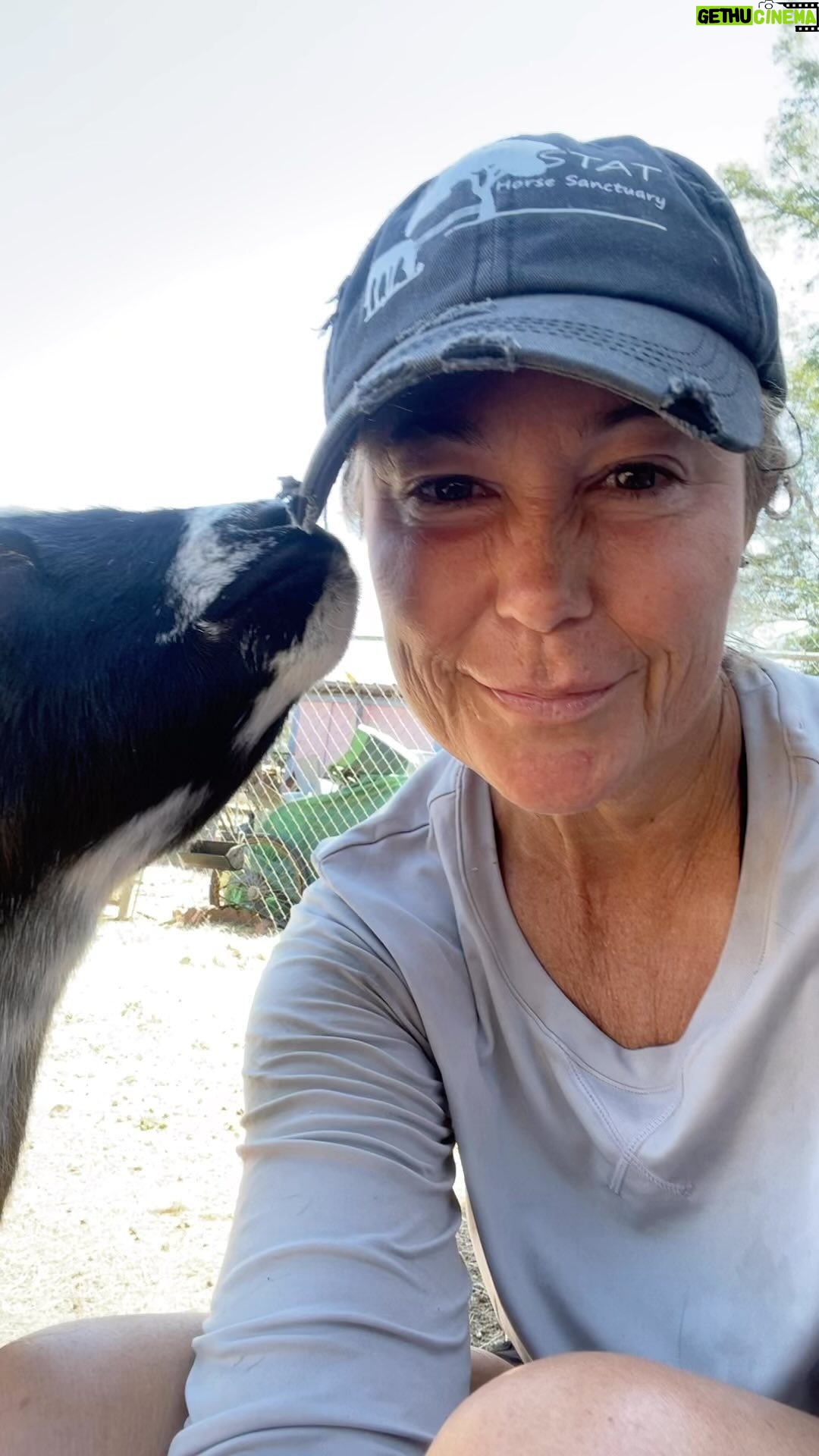 Kim Rhodes - 4.9K Likes - Goat content. And love. 💖