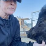 Kim Rhodes Instagram - I love Mo. He is very charming. #pig #rescueanimals