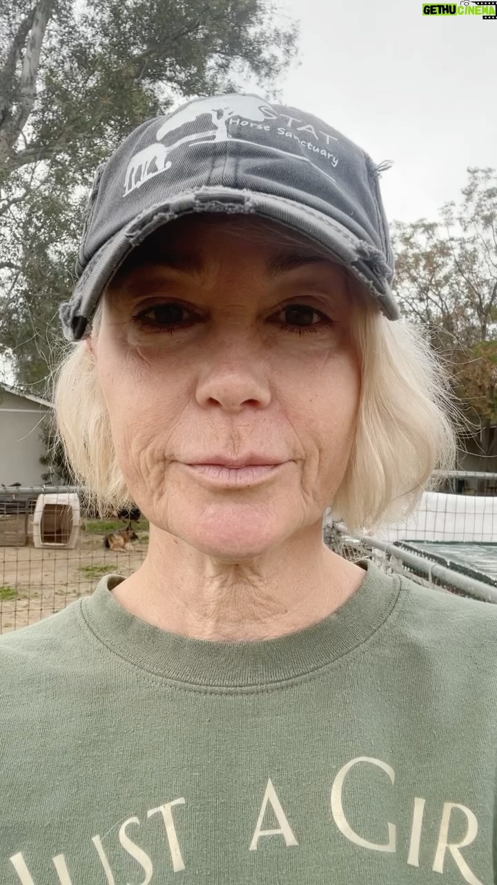 Kim Rhodes - 4.2K Likes - She has a name, but I call her Above My Pay Grade. (I still love her, though. She’s been through a lot. Thank you @stathorsesanctuary for seeing the worth in all creatures.)
