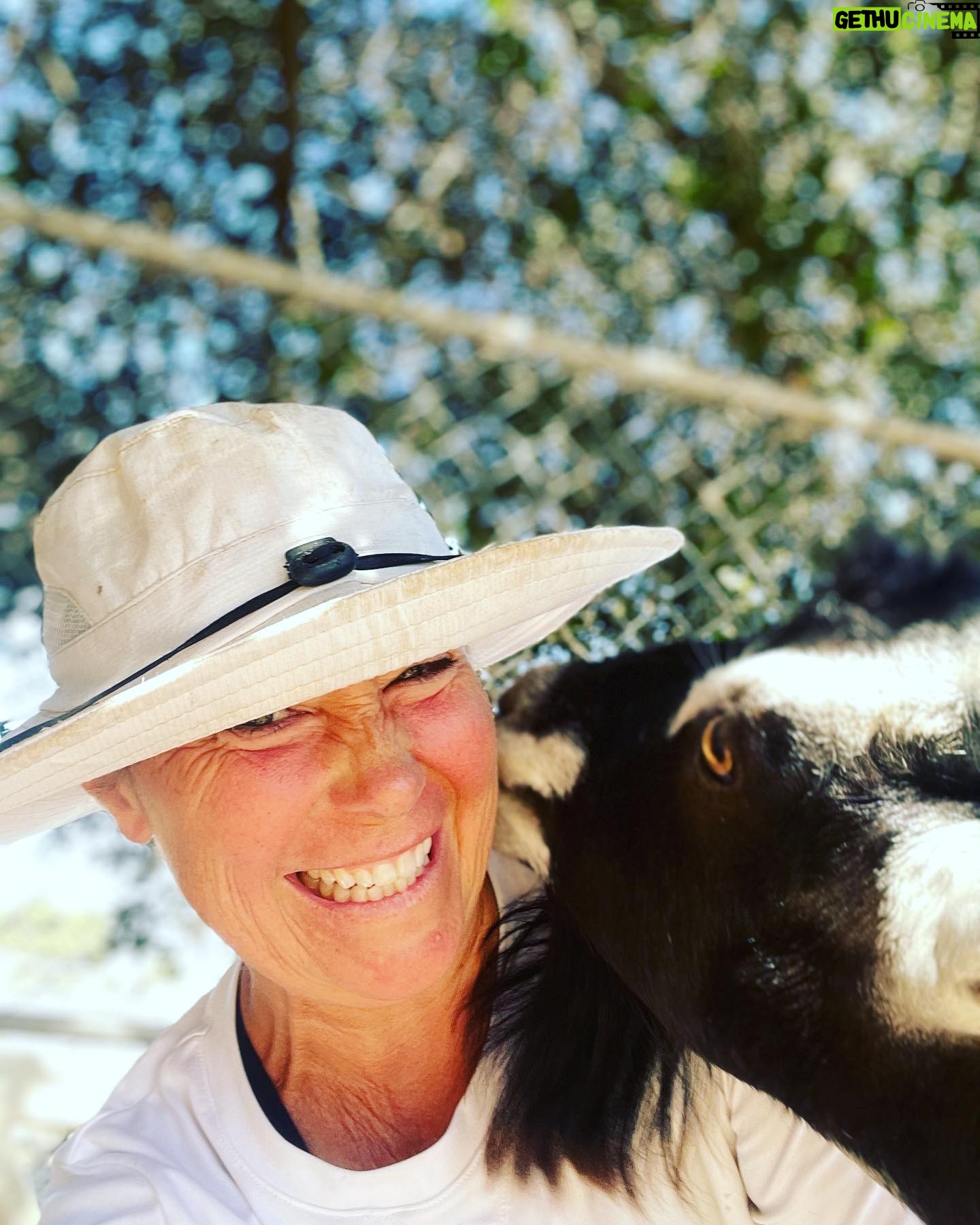 Kim Rhodes - 5.7K Likes - I’m on strike. I personally have experienced most of the reasons we are on strike. It feels both stabby, and like a…. party? Huh. @shopstands , wanna Thing with me? (I was trying for a menacing farm selfie but Greg won’t leave me alone.)
