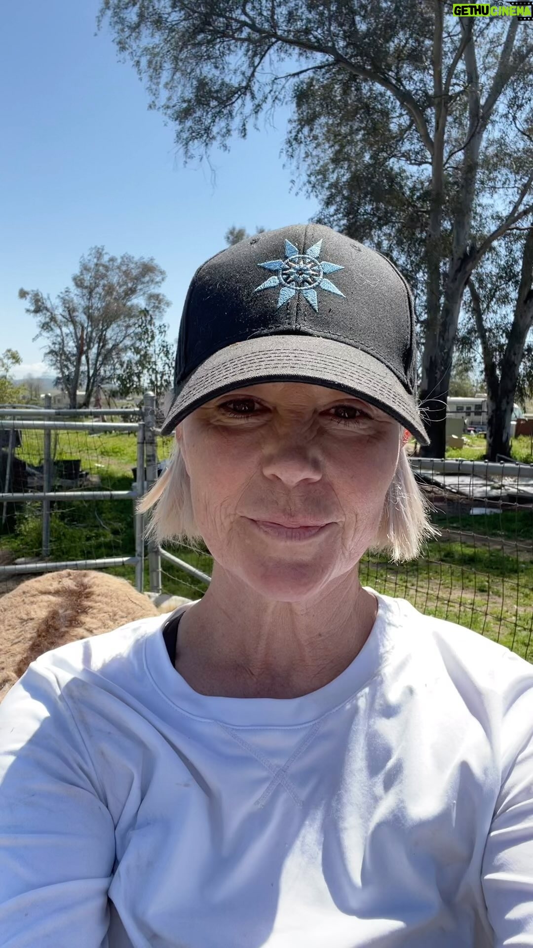 Kim Rhodes Instagram - I can’t. I just CANT with this being. 💖(@stathorsesanctuary is moving and could REALLY use any spare change you have lying in your couches.)