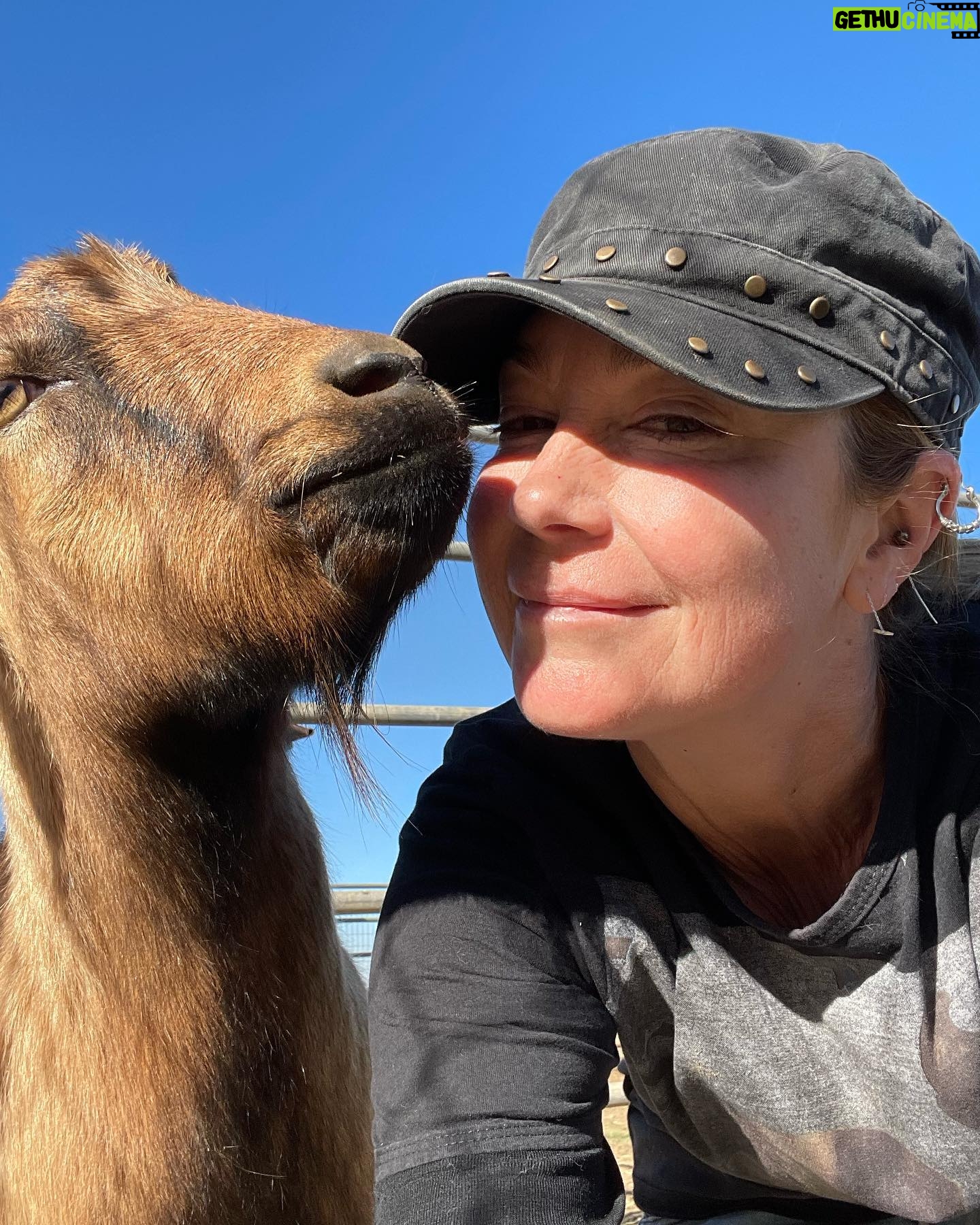 Kim Rhodes - 5.7K Likes - I HAVE A NEW (volunteer) JOB!!! A series from my first day.