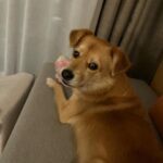 Kim Seo-hyung Instagram -