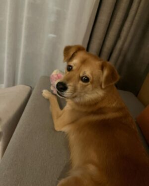 Kim Seo-hyung Instagram - 
