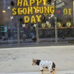 Kim Seo-hyung Instagram – 10.28🎂 고마웠습니다 사랑합니다 🎈❤️
