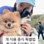 Kim So-ra Instagram – ”개식용 종식을 기원하는 SNS 챌린지!“ 
블루엔젤스 윤성창 @leader_yun 부사장님의 지목을 받고 ’개식용 종식을 기원하는 SNS 챌린지‘에 동참합니다.

”동물을 대하는 태도를 보면 그 국가의 수준을 알 수 있다!“라는 간디의 명언처럼 대한민국이 하루 빨리 개식용이 없는 선진 국가가 되기를 바래봅니다.

그리고 아래 오랫동안 블루엔젤봉사단으로 꾸준히 동물사랑을 실천하는 분들께 바톤을 넘깁니다!

@hyony.kim 진짜 멋있는 반려견 훈련사 모델 효진언니 

@ijoa0618_sahee 진짜 멋있는 반려견 미용사 배우 사희언니

#개식용종식챌린지 참여 방법
1. 간단한 문구와 함께 자유로이 사진을 찍어 SNS에 올린다.
2. 개식용 종식 법안 통과를 기원하며, 관련 문구나 국회소관위, 국회의원 등을 태그한다.
3. 다음 주자 2~3인을 정한다.

여야도 찬성하고, 정부도 찬성하는 개식용종식!

개식용종식특별법 제정, 22대 국회로 넘길 필요가 있을까요?

내년 총선 전에 꼭 통과되길 바랍니다.

#개식용종식 #개식용종식특별법제정 #농림축산식품해양수산위원회 #소병훈의원 #어기구의원 #이달곤의원 #김승남의원 #서삼석의원 #신정훈의원 #안호영의원 #위성곤의원 #윤재갑의원 #윤준병의원 #이원택의원 #주철현의원 #박덕흠의원 #안병길의원 #이양수의원 #정희용의원 #최춘식의원 #홍문표의원 #윤미향의원