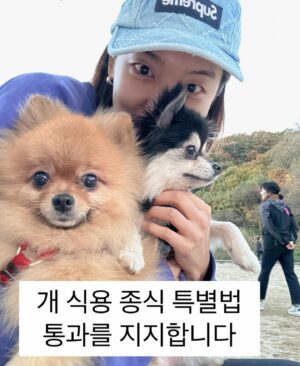 Kim So-ra Instagram - •
새 가족이 생겼어요🤗
이름은 로미 에요 😍

혹시 화성 번식장 사건에 대해 들어보셨나요?
여러 동물보호단체에서 약 1400여마리를
구조하게 되면서 수면위로 올라오게 되었는데요.
그렇게 구조된 친구들이 여러 보호소로 가게되었고,
그 중 한곳인 반려마루 라는 곳에서
로미를 만나게 되었어요.🤗

마루랑도 아주 잘 지내고
매일매일 표정이 달라지는 로미를 보며
저희 가족모두 하루하루 행복하게 보내고 있어요:)

국내 최대규모의 반려동물 복합문화공간 반려마루가 지난 주에 정식으로 개관을 해서,
아직도 많은 아이들이 가족을 기다리고 있습니다.

현재 ”경기도동물보호복지플랫폼“을 통해
예쁘고 착한 친구들을 볼 수 있고 입양도 가능하니
여러분들의 많은 관심부탁드립니다.

#사지말고입양하세요