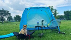 Kim So-ra Instagram - •
두번째 내집 마련🏕️

내집 짓기전에 마루 코트랑 물부터 셋팅❤️