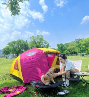 Kim So-ra Instagram - •
두번째 내집 마련🏕️

내집 짓기전에 마루 코트랑 물부터 셋팅❤️