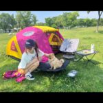 Kim So-ra Instagram - • 내집마련🏕️ 마루랑 캠크닉💕 #캠크닉 #camp #picnic