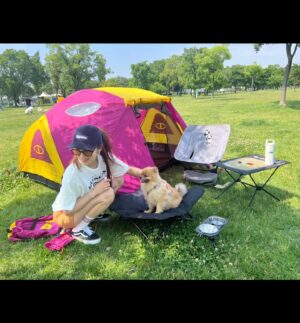 Kim So-ra Instagram - •
내집마련🏕️
마루랑 캠크닉💕

#캠크닉 #camp #picnic