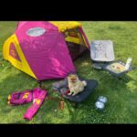 Kim So-ra Instagram - • 내집마련🏕️ 마루랑 캠크닉💕 #캠크닉 #camp #picnic