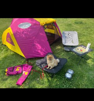 Kim So-ra Instagram - •
내집마련🏕️
마루랑 캠크닉💕

#캠크닉 #camp #picnic