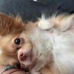 Kim Ye-won Instagram - 발암물질과 함께 한 밤 다음엔 좀 더 능숙하게 굽겠지 좋은 노래 많이 알고 있다고 칭찬받음 시작과 끝으로 라면을 두번 먹음 (중간에 내사랑 콩닥이💜)