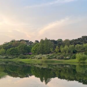 Kim Yoon-hye Instagram - 4월 🏃🏻‍♀️🐈‍⬛🌳