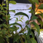 Kim Yoon-hye Instagram - 요기따 🌿🍃🌱🌿