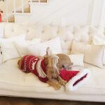 Kimberley Garner Instagram - (bunny puppy and bikini not included) One of my sister’s homes, Countess Faye de Pelet, just launched 🚀 it’s beautiful I’m so proud of you @kimberleylondon @kimberleygarnerhome Property details @struttandparker
