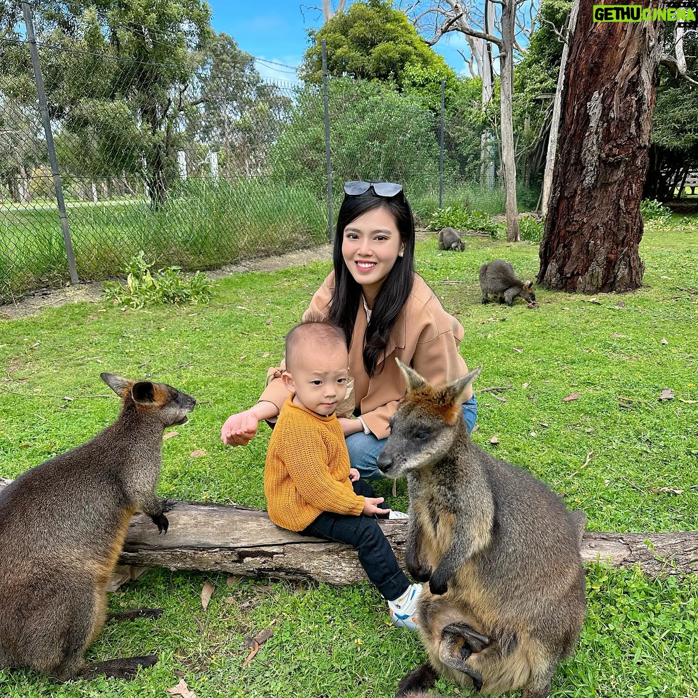 Kimberly Chia Instagram - Exposing this cutie animal lover to Australia’s favorite animals ❤️