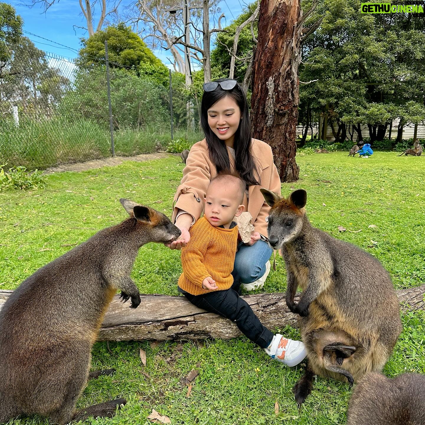 Kimberly Chia Instagram - Exposing this cutie animal lover to Australia’s favorite animals ❤️