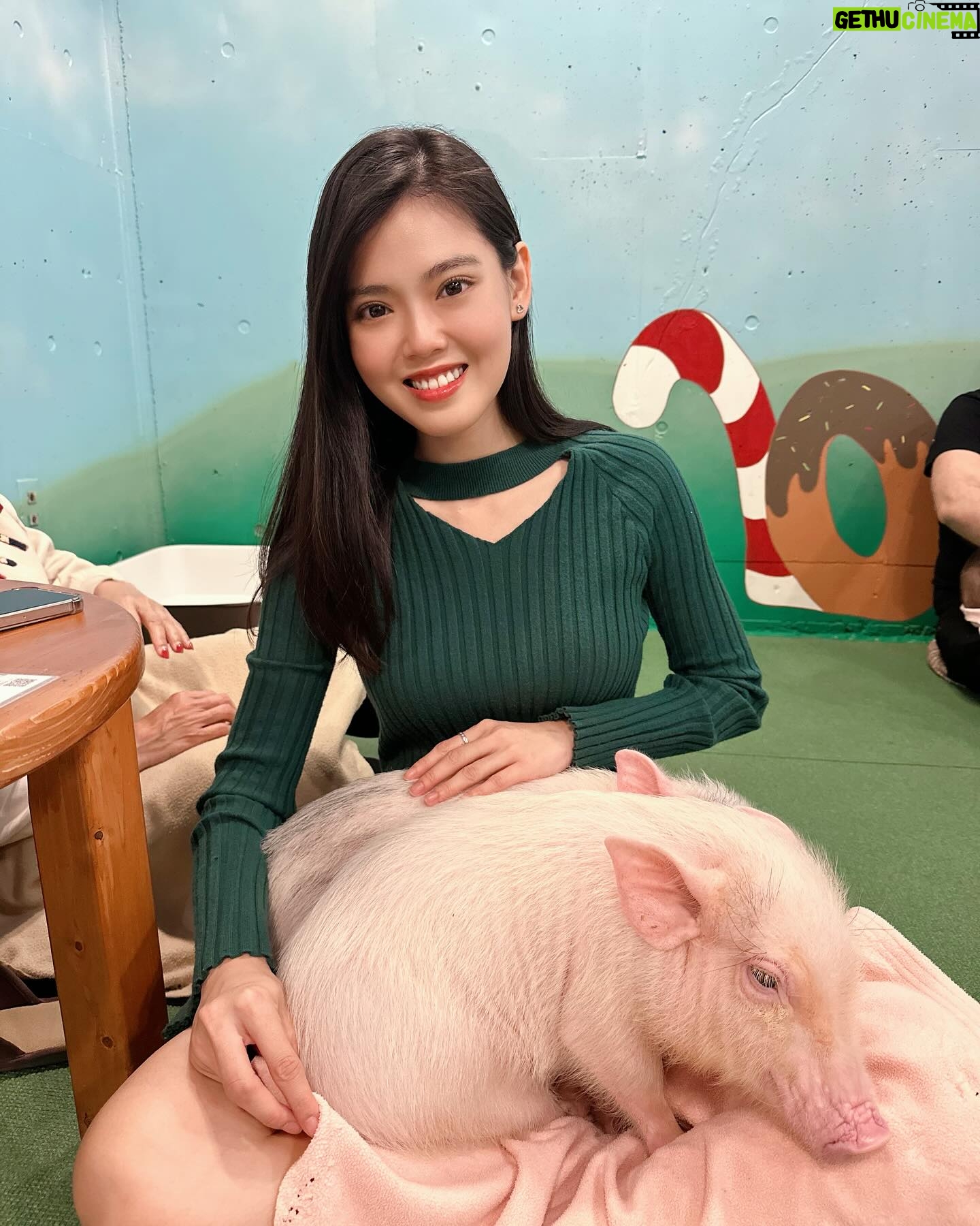 Kimberly Chia Instagram - One little…two little…three little pigs 🐷