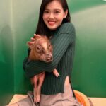 Kimberly Chia Instagram - One little…two little…three little pigs 🐷