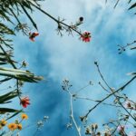 Kimya Gökçe Aytaç Instagram – Rhythms of Nature 🌿