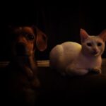 Kimya Gökçe Aytaç Instagram –
