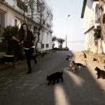 Kimya Gökçe Aytaç Instagram – Kınalı ve kedileri ❤️️