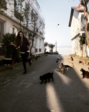 Kimya Gökçe Aytaç Instagram - Kınalı ve kedileri ❤️️