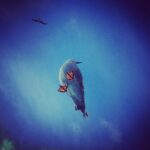 Kimya Gökçe Aytaç Instagram – Durma Jonathan !! Uç !!