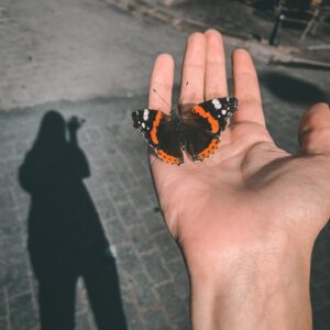 Kimya Gökçe Aytaç Instagram - “Hanımefendi kelebek sizin mi?”