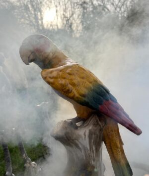 Kirsten Ramsay Instagram - Emerging through the steam, this beautiful Dresden parrot.

Taking advantage of a break in the rain I decided clean some studio objects in the early morning light. 

This particular piece was caked in years of dirt and nicotine, transformed using the steam cleaner to jet away the dirt in a controlled manner and revealing the true colours and details.

A satisfying start to the day in the first week of 2024!

#ceramic #ceramics ##ceramicconservation 
#ceramicrestoration #restoration #comservation 
#porcelain #dresden #parrot #ceramicbirds 
#cleaning #steamcleaningart #art #sculpture 
#antiquesdealersofinstagram #antiques 
#kirstenramsay #repair #collectioncare