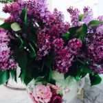 Kirstie Alley Instagram - Beauty abounds here ❤️💝