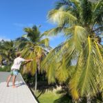 Kirstie Allsopp Instagram - Coconut water cures all sorts of ills, some self inflicted 🍸 some less so 🤧. So one loyal stepson is on the roof with a lethal tool harvesting some coconuts. Happy New Year wherever you are, I hope the sun has come up on your 2023 and it brings peace, kindness and everything you wish for you & yours 😘
