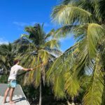 Kirstie Allsopp Instagram - Coconut water cures all sorts of ills, some self inflicted 🍸 some less so 🤧. So one loyal stepson is on the roof with a lethal tool harvesting some coconuts. Happy New Year wherever you are, I hope the sun has come up on your 2023 and it brings peace, kindness and everything you wish for you & yours 😘