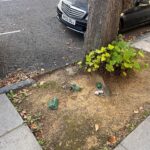 Kirstie Allsopp Instagram - So sorry to sully lovely friendly Instagram, but this was what I saw doing a brief circuit of my block this morning with Dandy, our Border Terrier. The only way this will stop is if @kensingtonandchelseacouncil stop picking up these bags, only once they are piled high will people get the message that they MUST TAKE THEM HOME. There is no excuse for this, if anyone doesn’t want to carry a bag there are all sorts of products to help. @keepbritaintidy