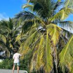Kirstie Allsopp Instagram - Coconut water cures all sorts of ills, some self inflicted 🍸 some less so 🤧. So one loyal stepson is on the roof with a lethal tool harvesting some coconuts. Happy New Year wherever you are, I hope the sun has come up on your 2023 and it brings peace, kindness and everything you wish for you & yours 😘