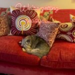Kirstie Allsopp Instagram - It may look very peaceful now……