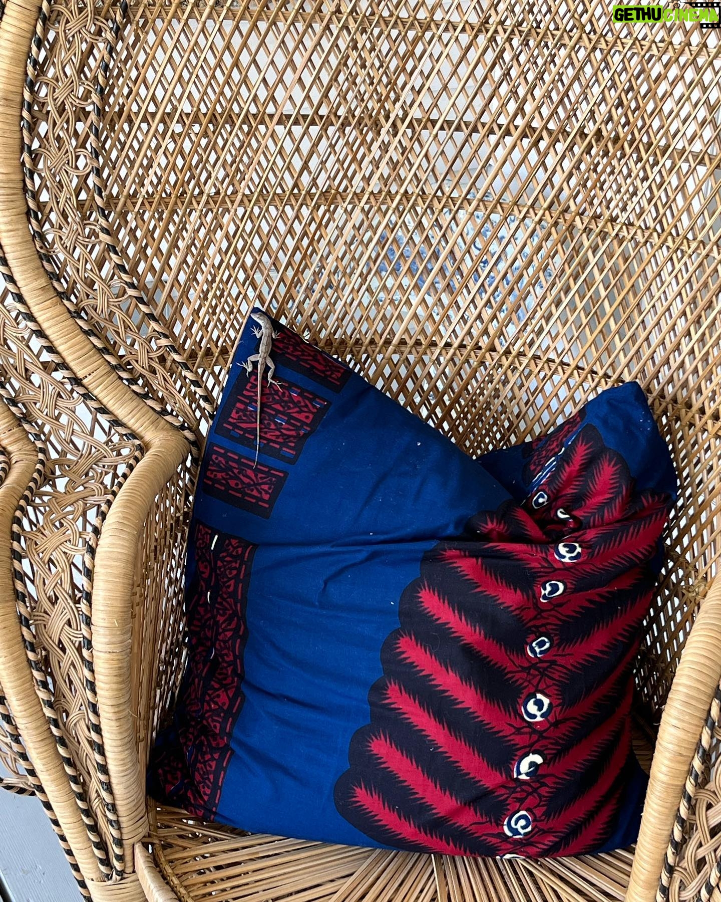 Kirstie Allsopp Instagram - When you are longing to plump a cushion, but the lizard has other ideas. #tidyfreak 🦎 #evenonholiday