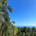 Kirstie Allsopp Instagram - Coconut water cures all sorts of ills, some self inflicted 🍸 some less so 🤧. So one loyal stepson is on the roof with a lethal tool harvesting some coconuts. Happy New Year wherever you are, I hope the sun has come up on your 2023 and it brings peace, kindness and everything you wish for you & yours 😘