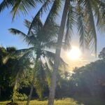 Kirstie Allsopp Instagram - Because sometimes a palm tree sunrise makes a nice change 🏝️ To all those having a miserable time battling #stormbabet and what I gather is pretty miserable weather in the UK, apologies for posting this picture. To all those able to take or plan a holiday at the moment, go for it. The best bit is being able to plan your admin for the forthcoming year, I’m currently working on the @c4locationsofficial dates for 2024 - watch out @philspencertv I’ll be on the blower, get your diary out, he’s still using an old style black desk diary 🙄. 😘