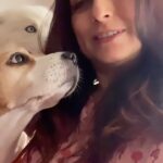 Kishori Shahane Instagram - Puppy love ..Thor and Ginger .. such a treat #reelsinstagram #reels #reelitfeelit #reelkarofeelkaro #reelsvideo #instagram #insta #instadaily #instagood #instamood #puppylove #puppy #puppies #dogsofinstagram #dog #kishorishahane #trending #trendingreels #trendingsongs #brand #branding #collab #collaboration #happy #time