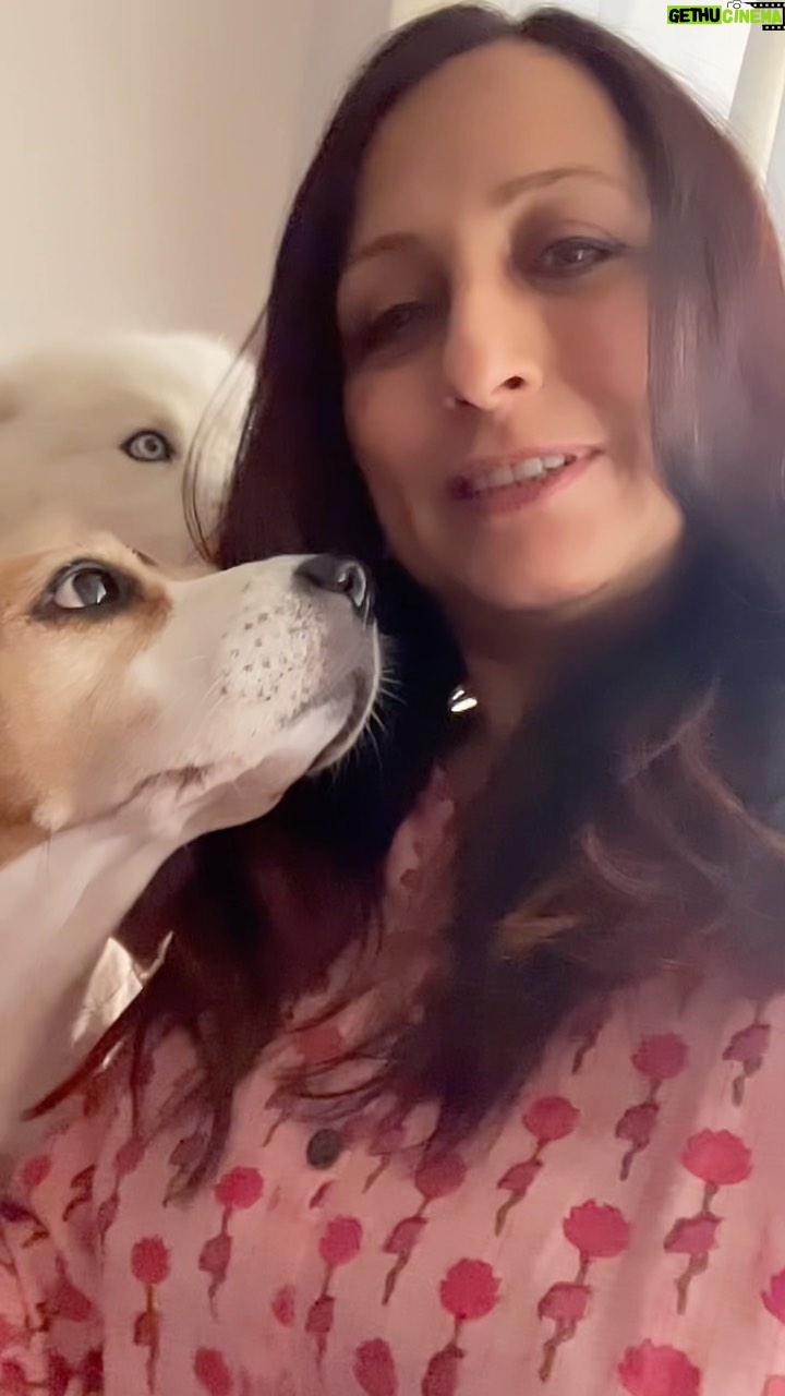 Kishori Shahane Instagram - Puppy love ..Thor and Ginger .. such a treat #reelsinstagram #reels #reelitfeelit #reelkarofeelkaro #reelsvideo #instagram #insta #instadaily #instagood #instamood #puppylove #puppy #puppies #dogsofinstagram #dog #kishorishahane #trending #trendingreels #trendingsongs #brand #branding #collab #collaboration #happy #time