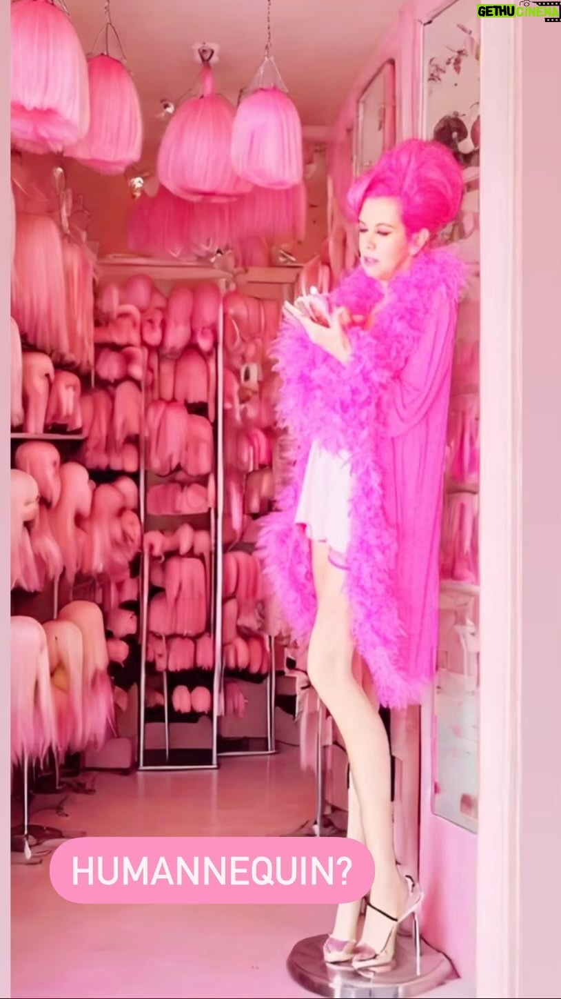 Kitten Kay Sera Instagram - Just me ordering more pink wigs! 💗💗💗